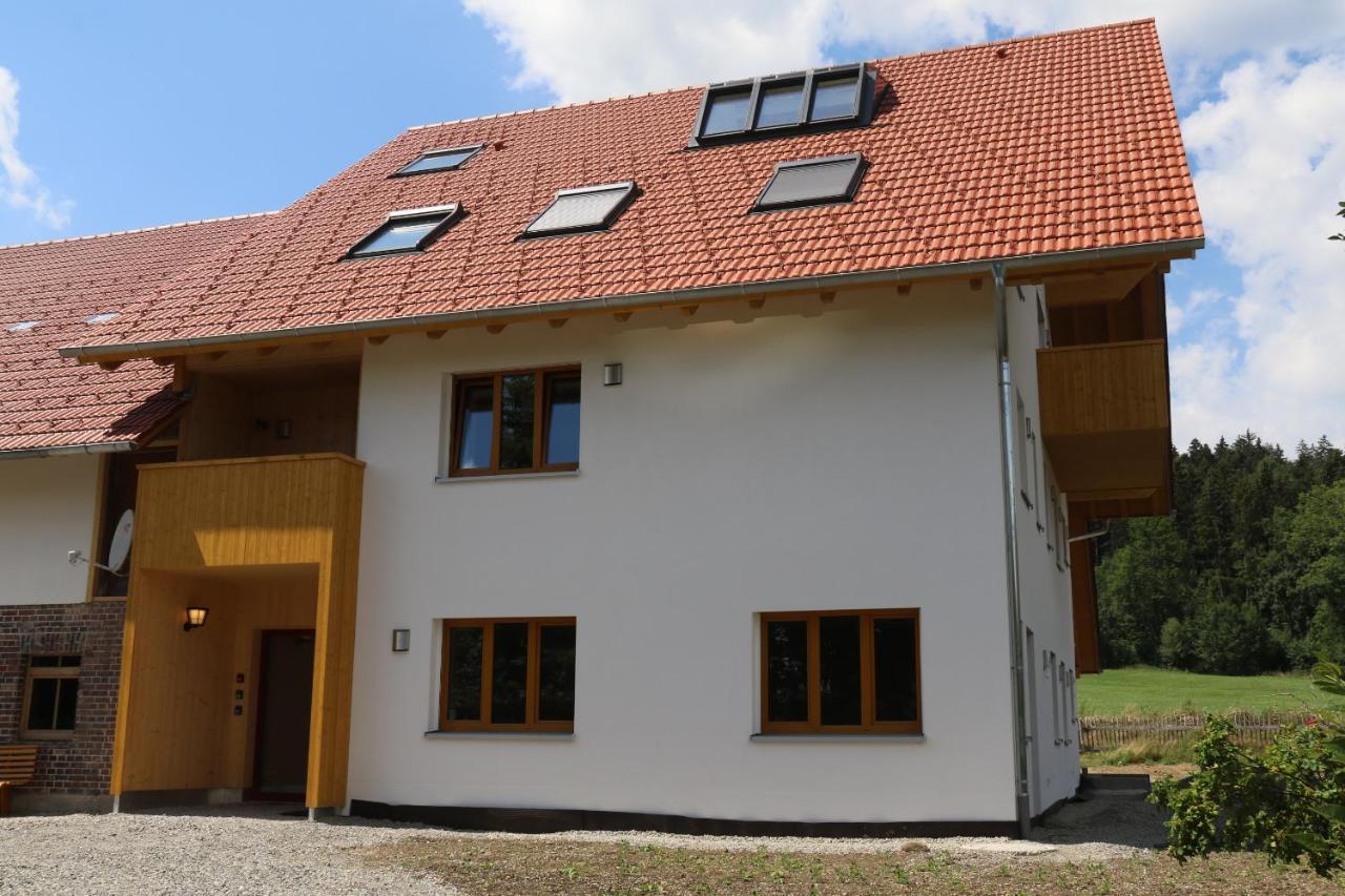 Waldblick Im Happy Allgaeu - Wohnung Mit Grosser Dachterrasse Leutkirch im Allgäu Exteriör bild